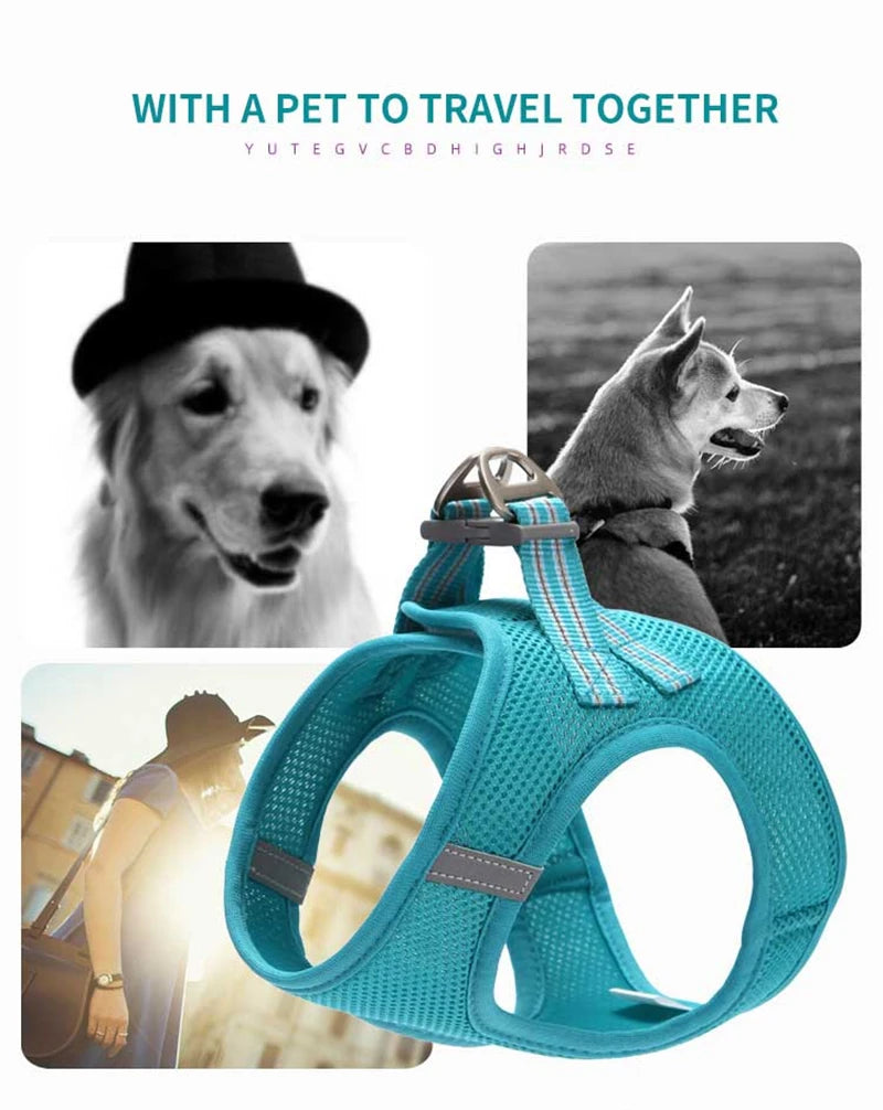 Adjustable Dog Harness Vest & Walking Leash NZ | Medium Dogs & Cats – PawNest