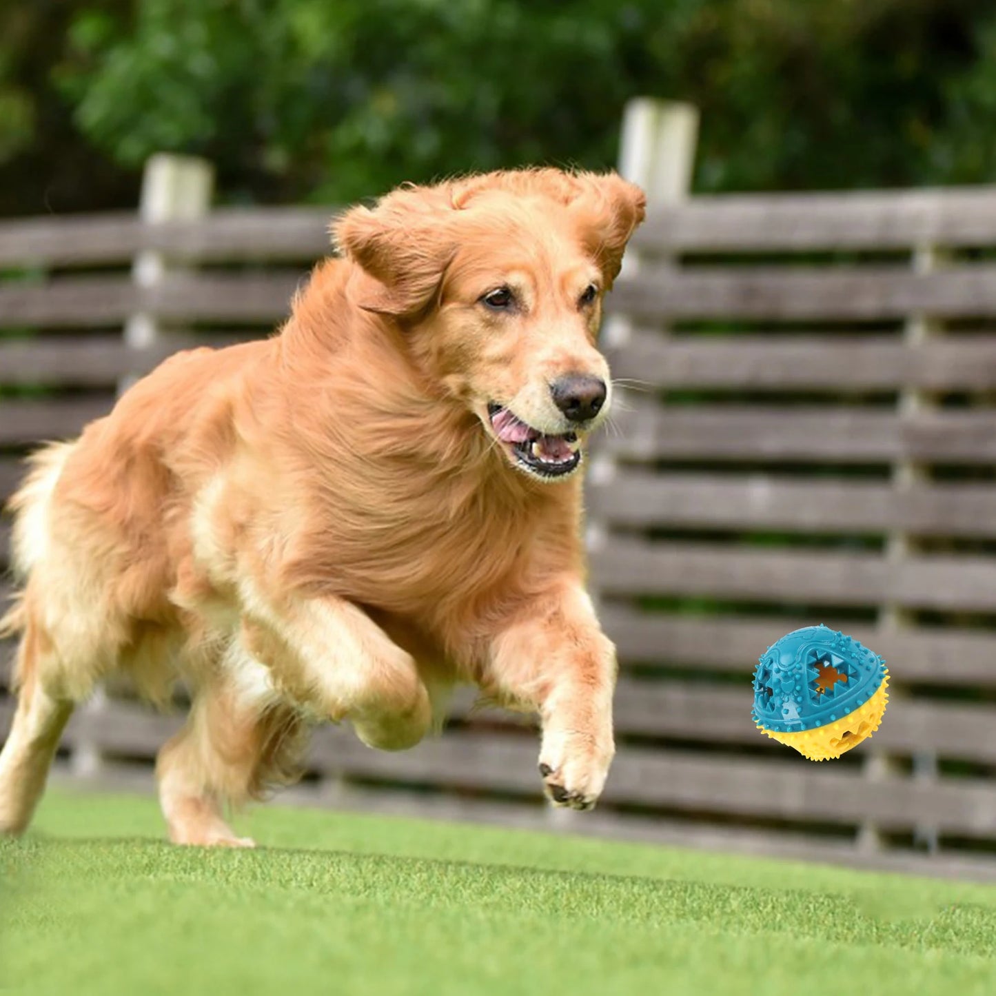 Dog Chew Toy Balls NZ | Rubber Teeth Cleaning & Treat Dispensing Balls for Dogs & Cats – PawNest