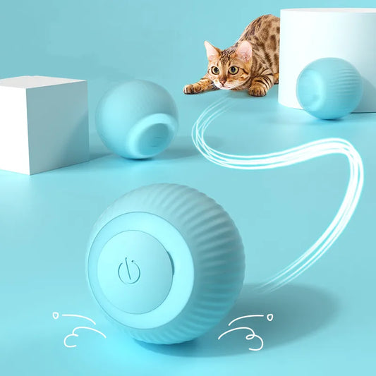 Electric Rolling Cat Ball Toy – Smart Interactive Cat Toy NZ | PawNest