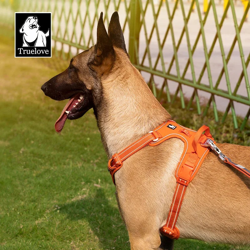 TrueLove No-Pull Reflective Dog Harness NZ | Adjustable & Comfortable Fit – PawNest