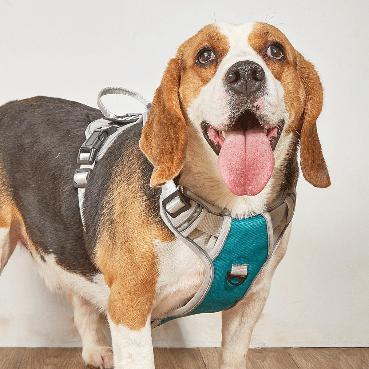 No-Pull Dog Harness NZ | Adjustable Reflective Safety Vest for Medium & Large Dogs – PawNest