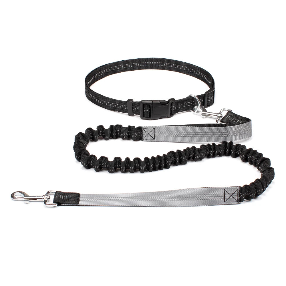 Hands-Free Dog Leash NZ | Adjustable Waist Belt & Chest Strap for Running, Walking & Jogging with Pets