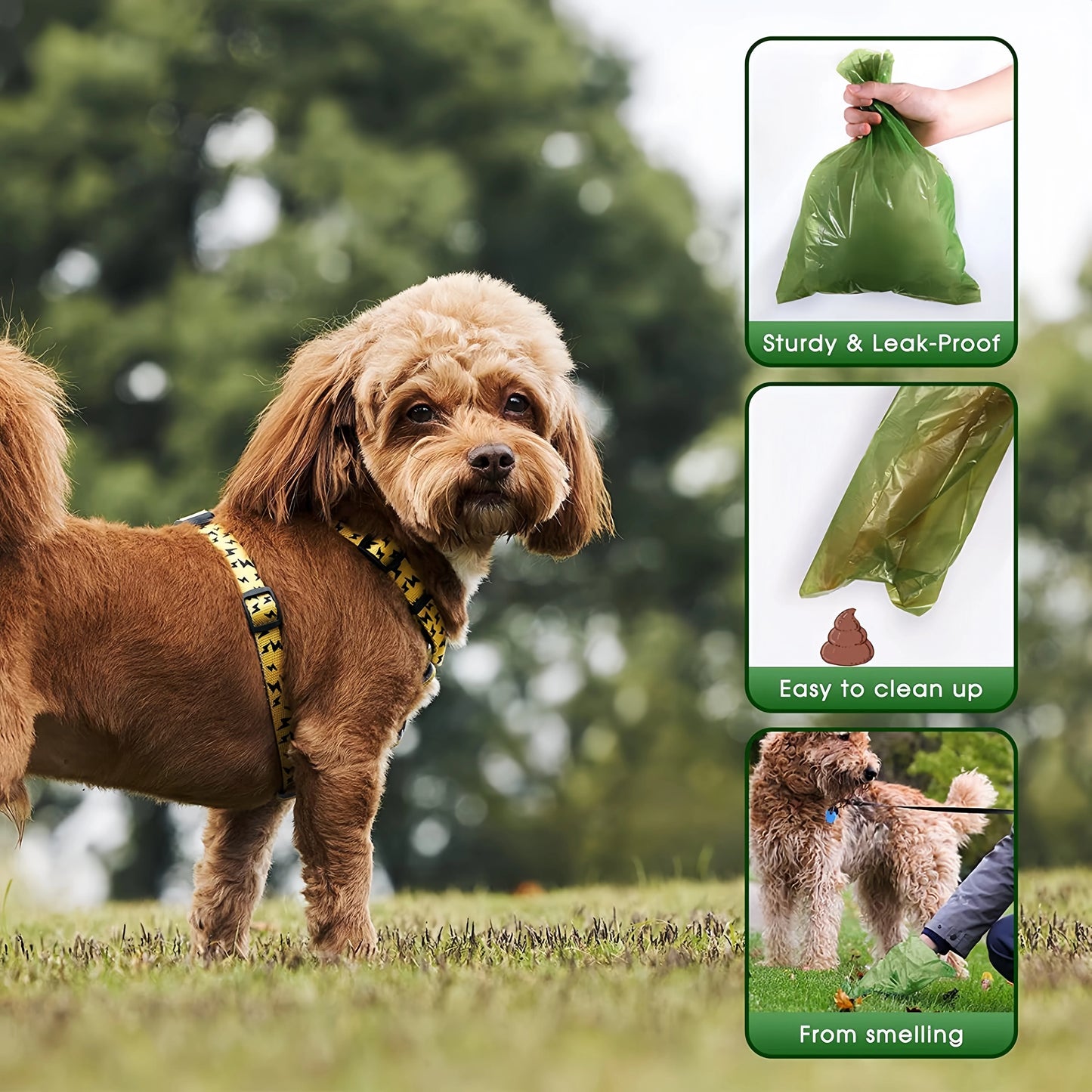 Biodegradable Dog Poop Bags with Dispenser – Zero Waste