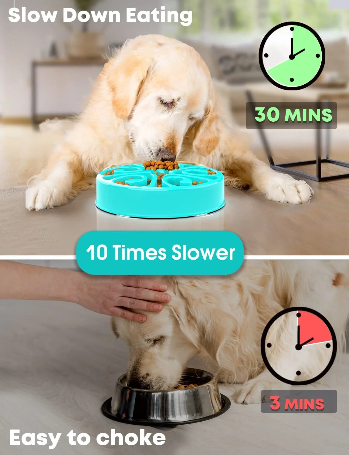 Eco-Friendly Slow Feeder Dog Bowl NZ | Non-Slip, Anti-Gulping Fun Feeding Bowl for All Dog Sizes – PawNest