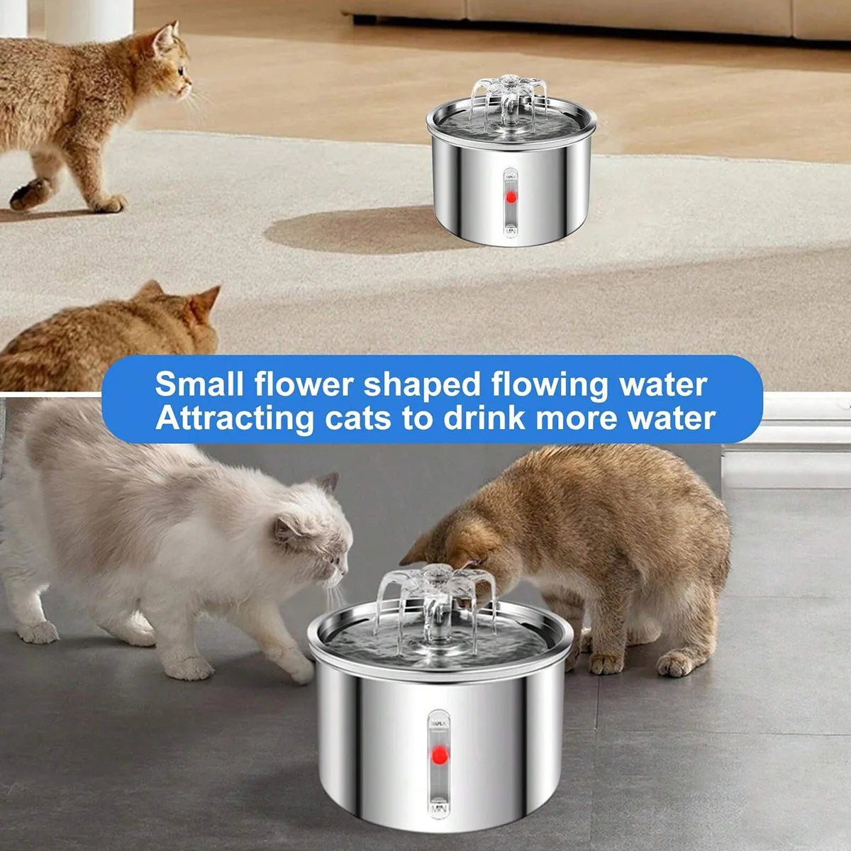 Stainless Steel Pet Water Fountain NZ | Visual Window Automatic Dispenser for Cats & Dogs – PawNest
