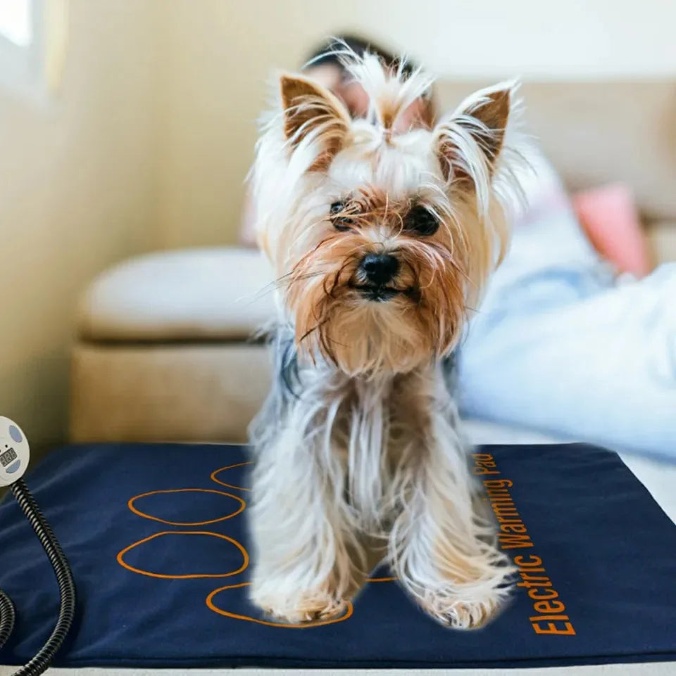 45×60cm Electric Pet Heating Pad NZ | Waterproof Adjustable Dog & Cat Warmer – PawNest