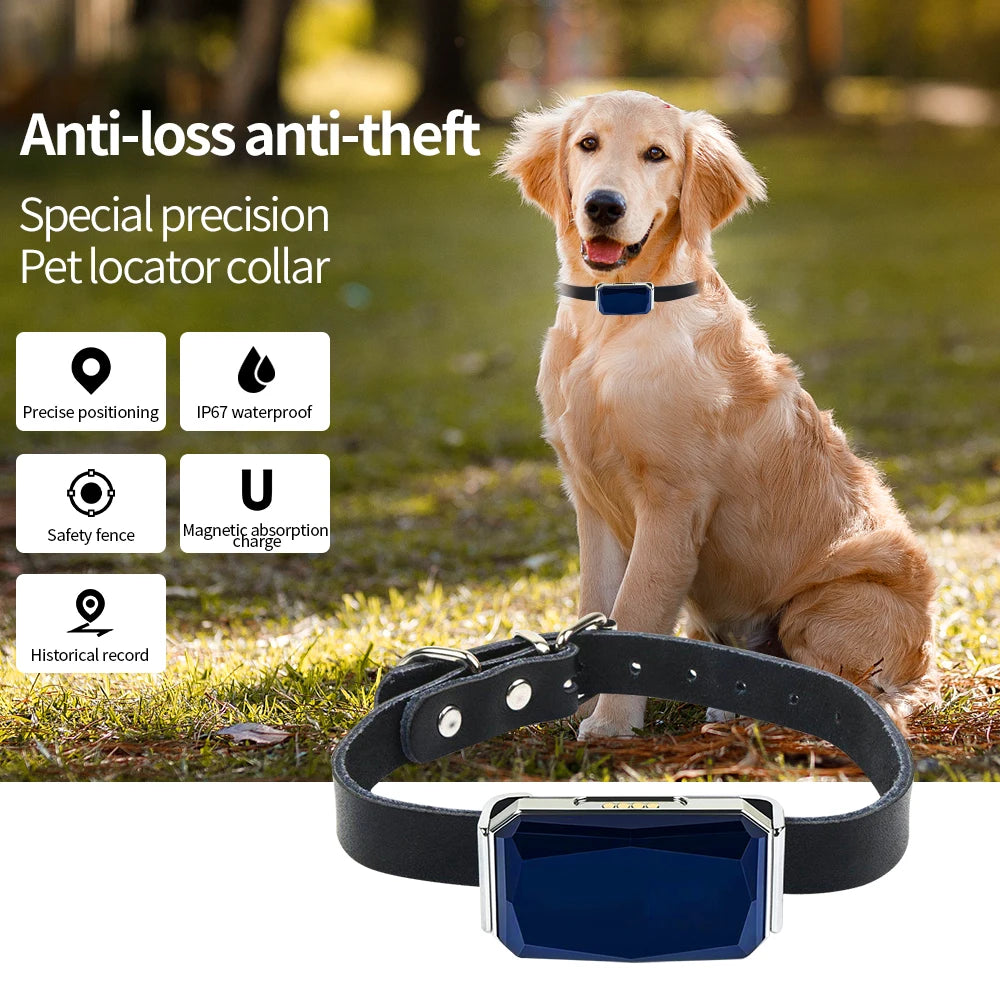 G12 GPS Smart Pet Collar NZ | Waterproof Anti-Lost Tracker for Pets, Kids & Elderly – PawNest