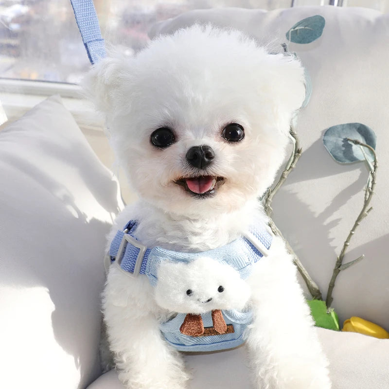 Fashion Adjustable Dog Harness NZ | Small & Medium Dog Chest Strap Vest for Walking – PawNest