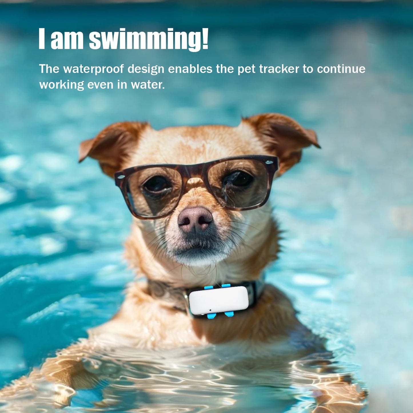 Global Pet Tracker NZ | Waterproof GPS Dog & Cat Tracker with App – Low Service Fee – PawNest