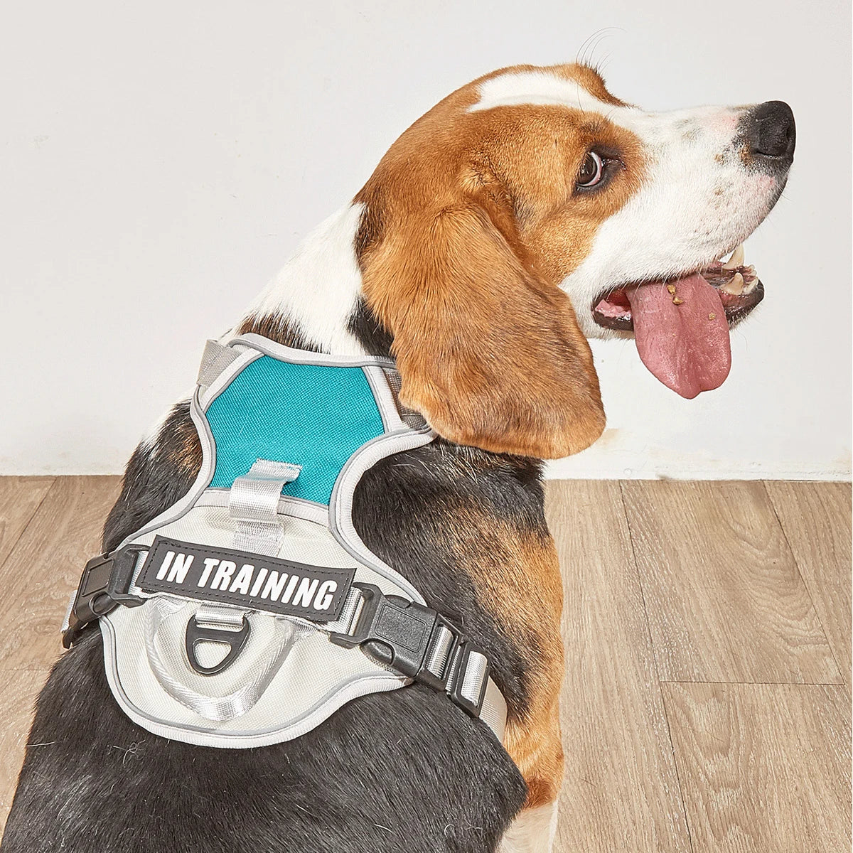 No-Pull Dog Harness NZ | Adjustable Reflective Safety Vest for Medium & Large Dogs – PawNest