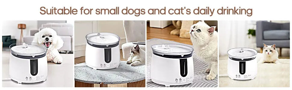 AQHH Wireless Cat Water Fountain NZ | Smart Automatic Fountain with App Control & Easy Cleaning – PawNest