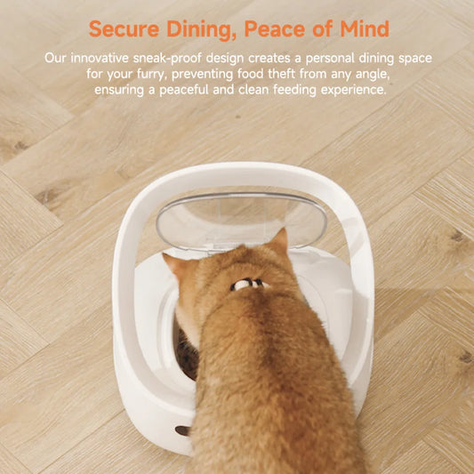 Smart Pet Feeder with Chip Recognition NZ | Anti-Snatch Food Dispenser for Cats & Dogs – PawNest
