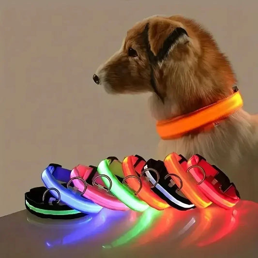 Light Up LED Dog Collar – Safety Flashing Glow Battery Collar