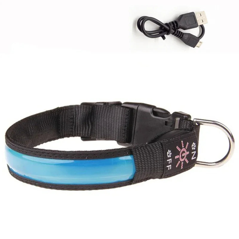 LED Glowing Dog Collar – USB Rechargeable Flashing Light