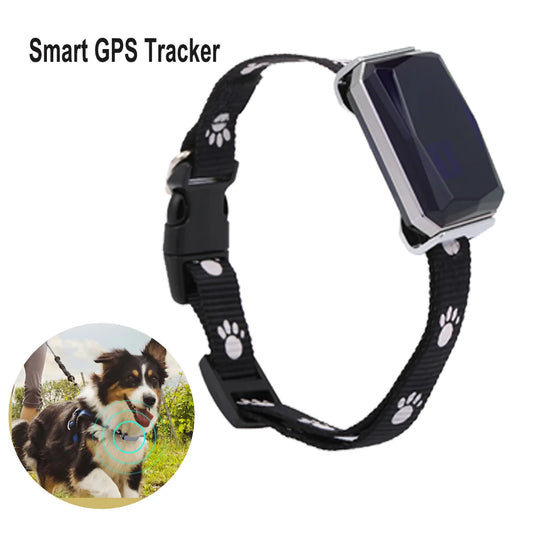 Smart GSM GPS Pet Tracker Collar NZ | IP67 Waterproof Real-Time Geo-Fence & SOS Anti-Lost Alarm – PawNest