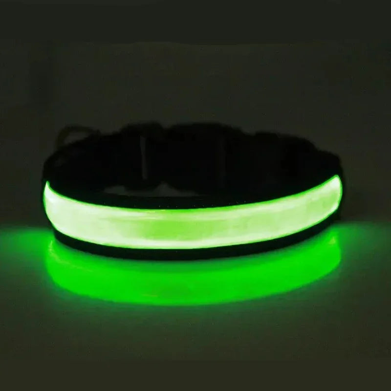 LED Glowing Dog Collar – USB Rechargeable Flashing Light