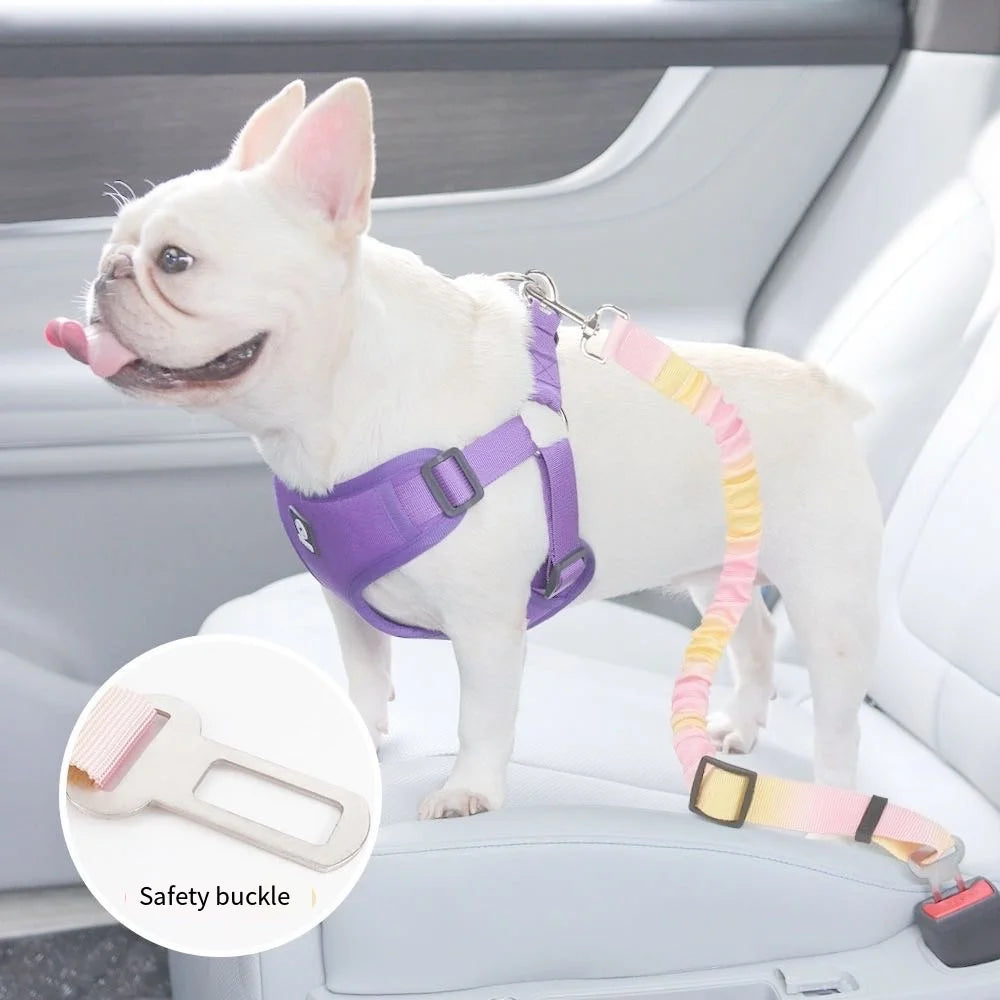 Pet Car Safety Belt for Dogs & Cats – Adjustable Seatbelt Harness for Small & Medium Pets | Travel Buckle Restraint for Safety