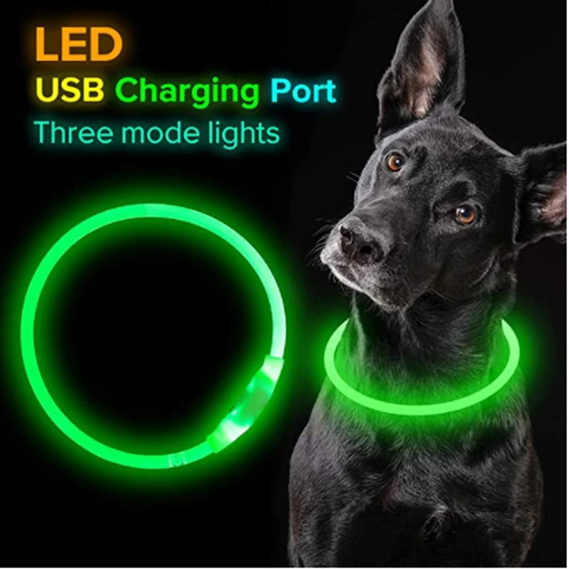 Luminous Dog Collar Light – USB Rechargeable LED Safety Collar
