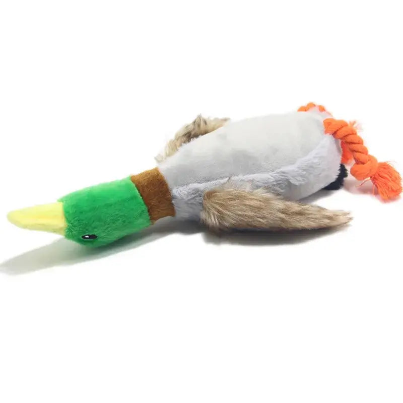 Mini Plush Squeaky Dog Toy NZ | Durable Chew Toy for Small & Medium Dogs and Cats – PawNest