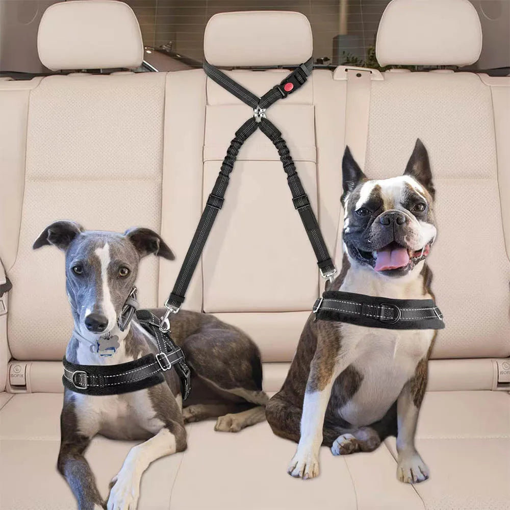 Double-Headed Dog Safety Harness NZ | Adjustable Car Headrest Restraint for Secure Pet Travel – PawNest