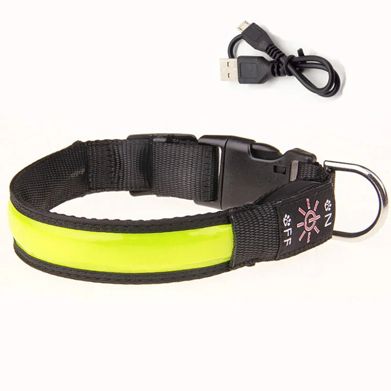 LED Glowing Dog Collar – USB Rechargeable Flashing Light