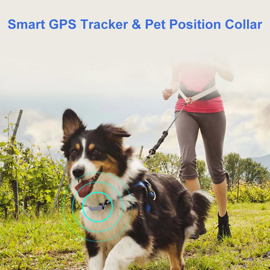 Smart GSM GPS Pet Tracker Collar NZ | IP67 Waterproof Real-Time Geo-Fence & SOS Anti-Lost Alarm – PawNest