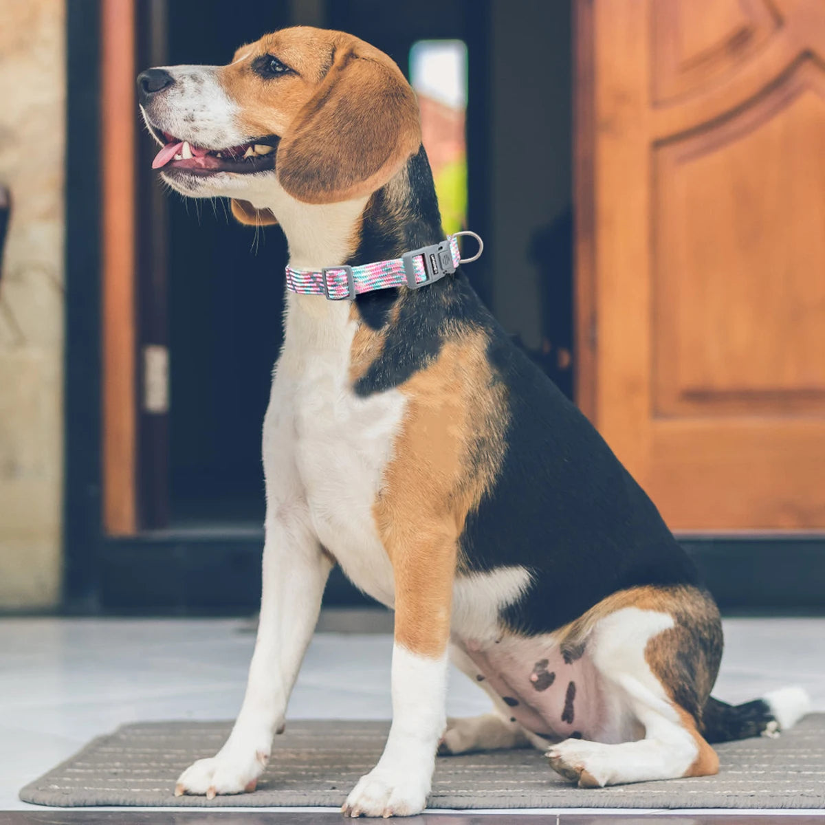 Reflective Adjustable Dog Collar – Anti-Lost Military Design