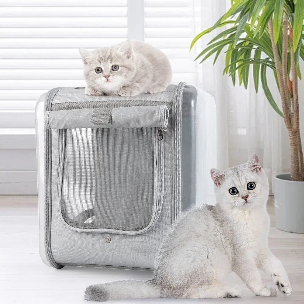 Double-Sided Transparent Cat Carrier NZ | Ventilated Large Space Pet Backpack for Cats – Portable & Comfortable