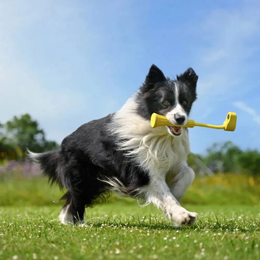 Fetch Stick for Dogs – Compatible with Insta360 GO 3 & GO 3S | Original Pet Camera Accessory