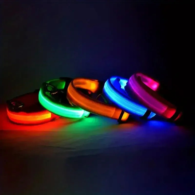 Light Up LED Dog Collar – Safety Flashing Glow Battery Collar