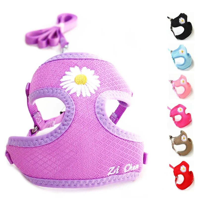 Daisy Embroidered Harness & Leash Set NZ | Small & Medium Dogs, Kittens, Puppies – PawNest