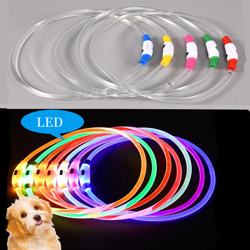 Luminous Dog Collar Light – USB Rechargeable LED Safety Collar