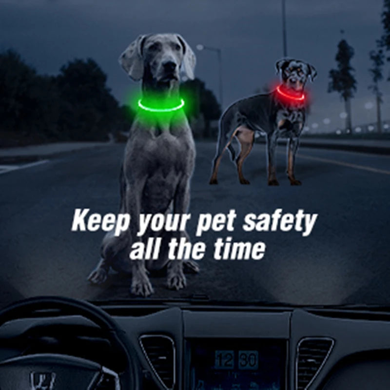 Luminous Dog Collar Light – USB Rechargeable LED Safety Collar