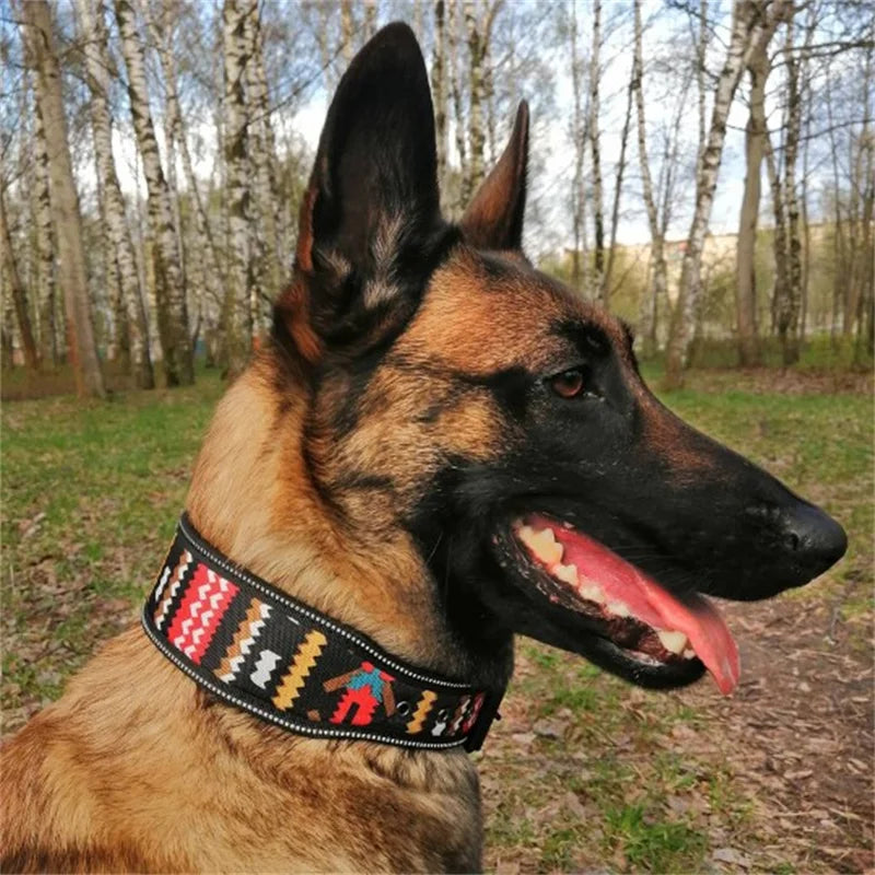 Fashion Reflective Big Dog Collar – Adjustable for All Sizes