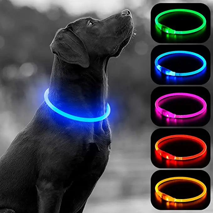 Luminous Dog Collar Light – USB Rechargeable LED Safety Collar