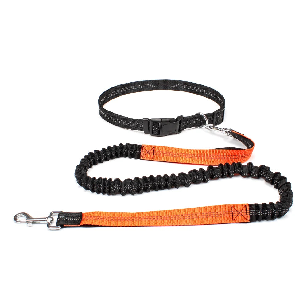 Hands-Free Dog Leash NZ | Adjustable Waist Belt & Chest Strap for Running, Walking & Jogging with Pets