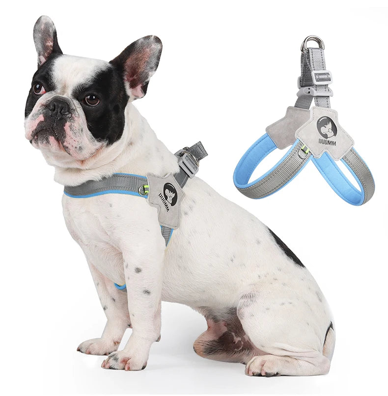 Adjustable Reflective Dog Harness NZ | Mesh Vest for Small & Large Dogs & Cats – PawNest