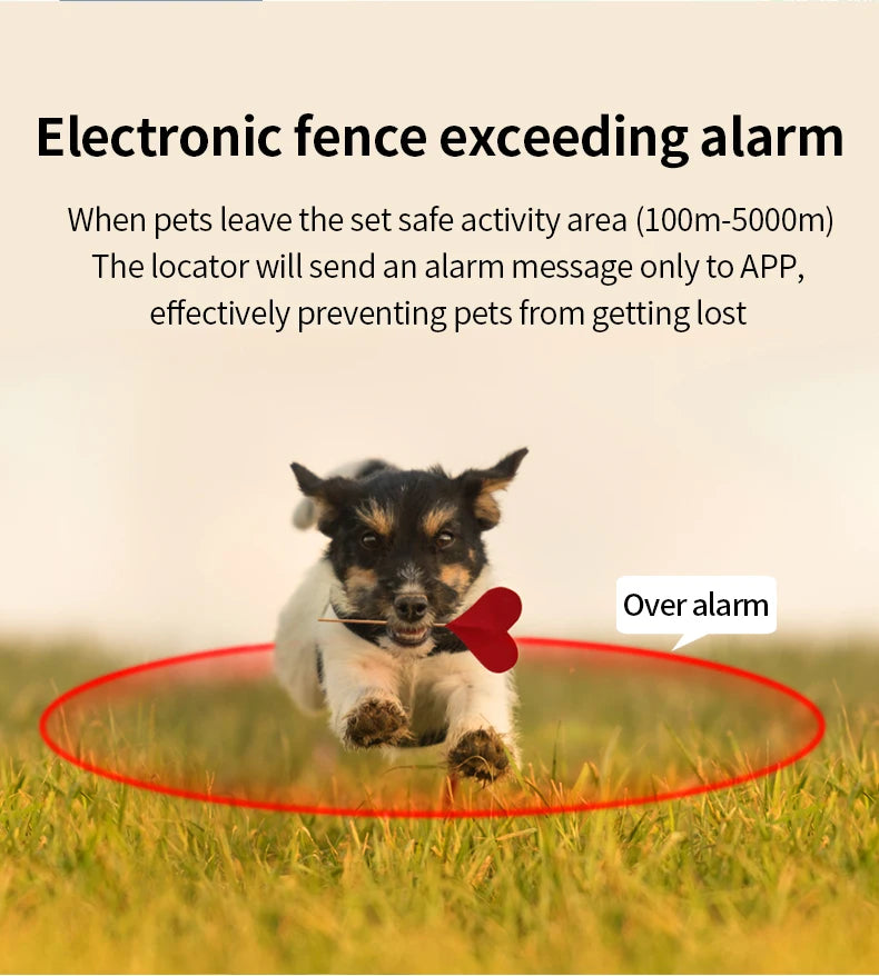 G12 GPS Smart Pet Collar NZ | Waterproof Anti-Lost Tracker for Pets, Kids & Elderly – PawNest