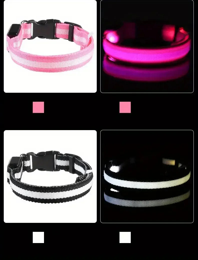 Light Up LED Dog Collar – Safety Flashing Glow Battery Collar