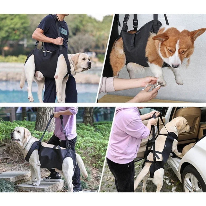 Dog Lift Harness NZ | Full-Body Support Sling for Large Elderly, Injured & Disabled Dogs – PawNest