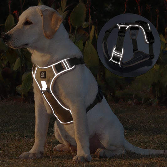 Reflective No-Pull Dog Harness NZ | Adjustable Saddle Chest Strap for Small to Large Dogs – PawNest