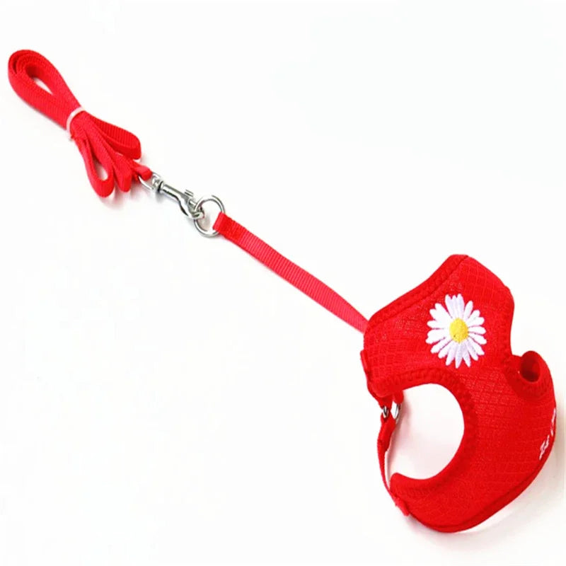 Daisy Embroidered Harness & Leash Set NZ | Small & Medium Dogs, Kittens, Puppies – PawNest