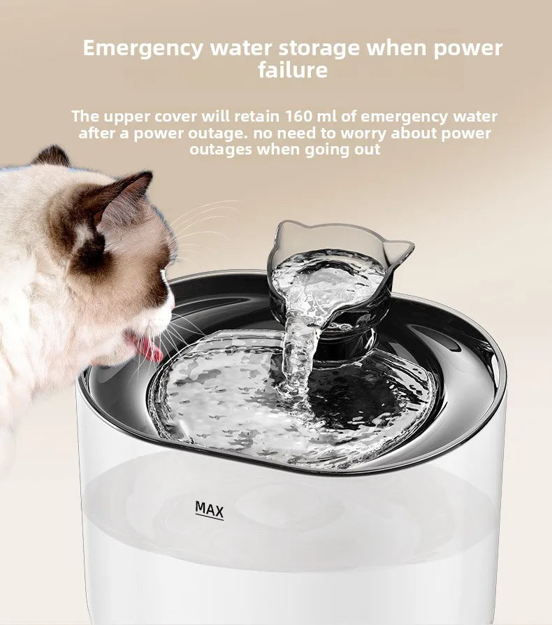Smart Automatic Pet Water Fountain NZ | Filtered Moving Water Dispenser for Cats & Dogs – PawNest