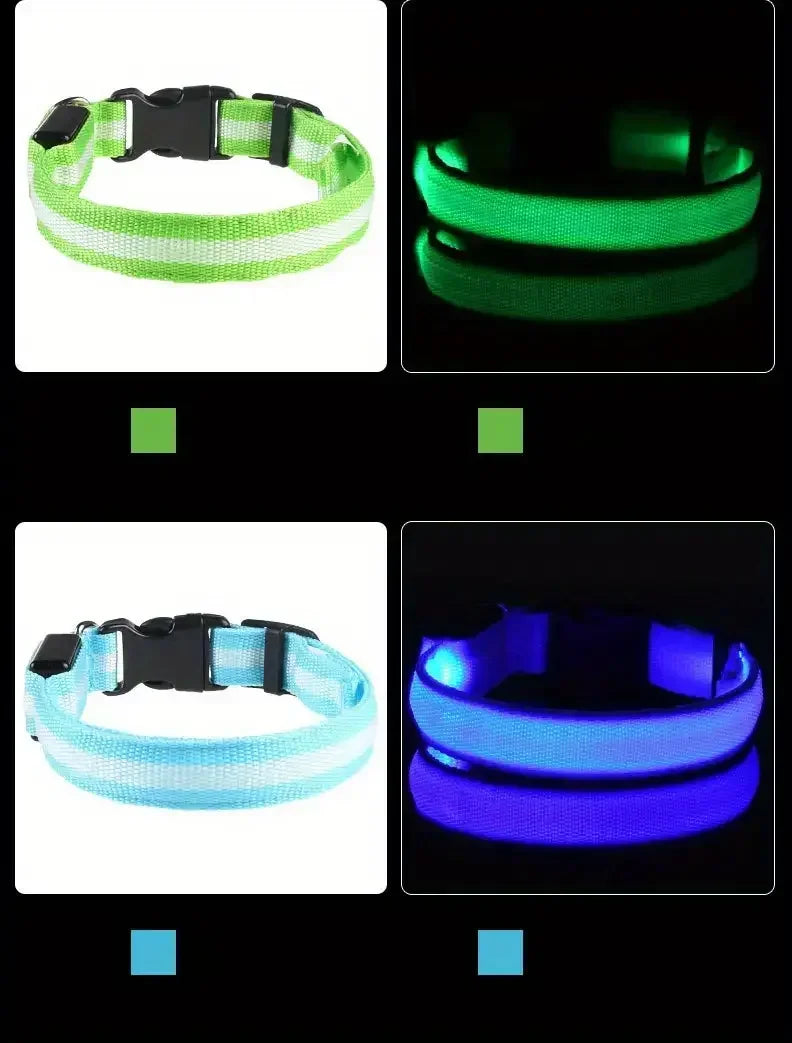 Light Up LED Dog Collar – Safety Flashing Glow Battery Collar