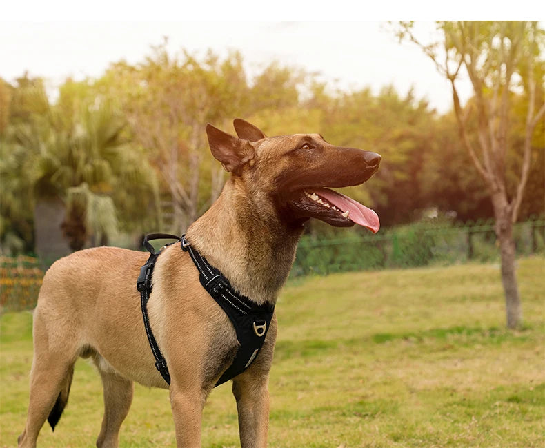 TrueLove No-Pull Reflective Dog Harness NZ | Adjustable & Comfortable Fit – PawNest