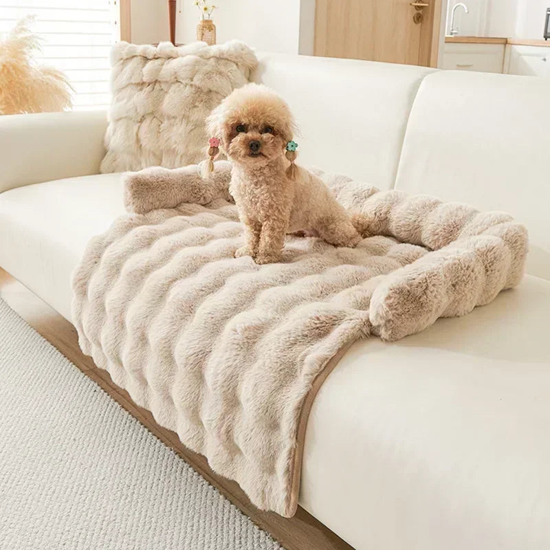 Square Winter Soft Pet Bed NZ | Warm Plush Dog & Cat Sofa with Neck Pillow – PawNest