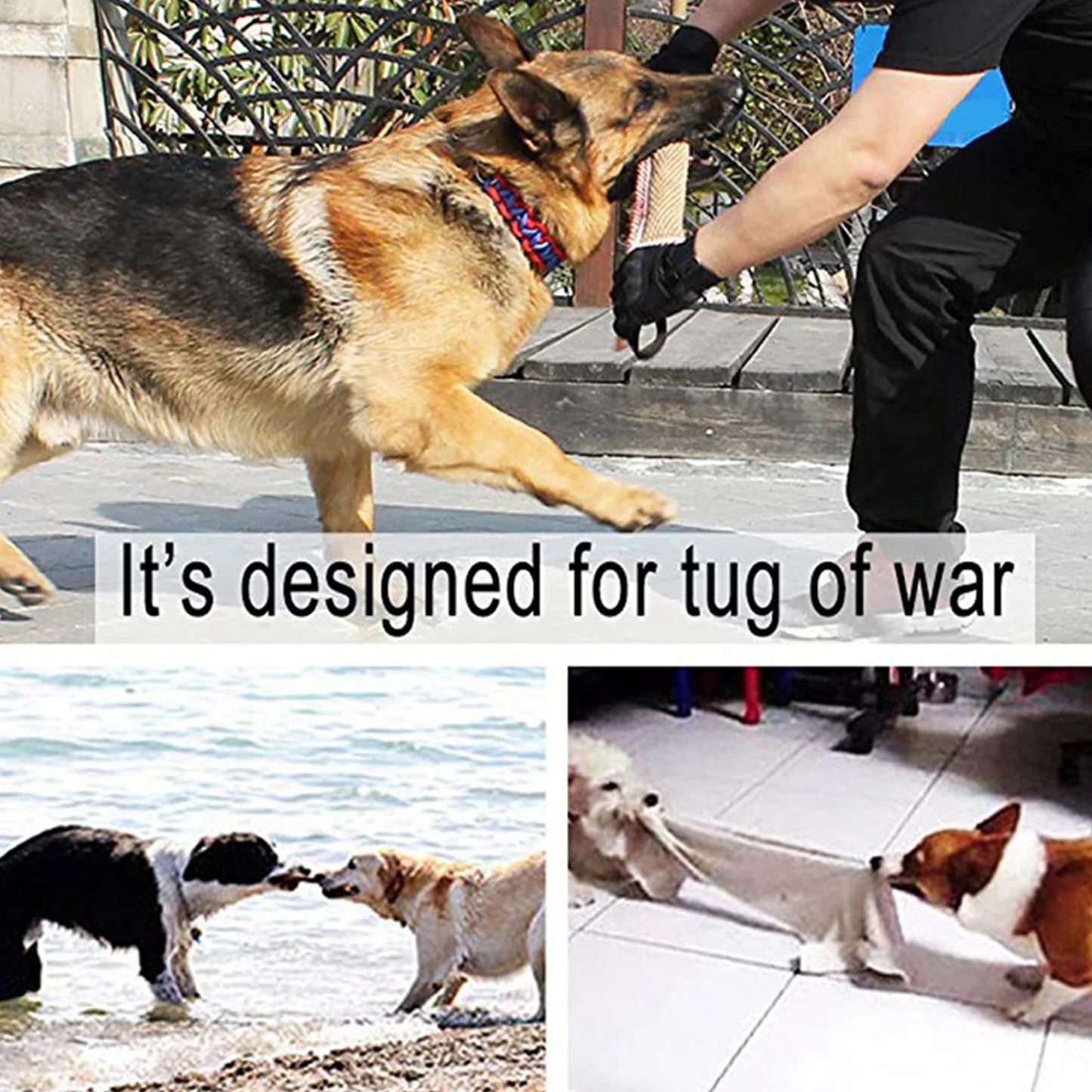 Dog Chew Tug Toy NZ | Interactive Rope Teether for Teeth Cleaning & Training – PawNest