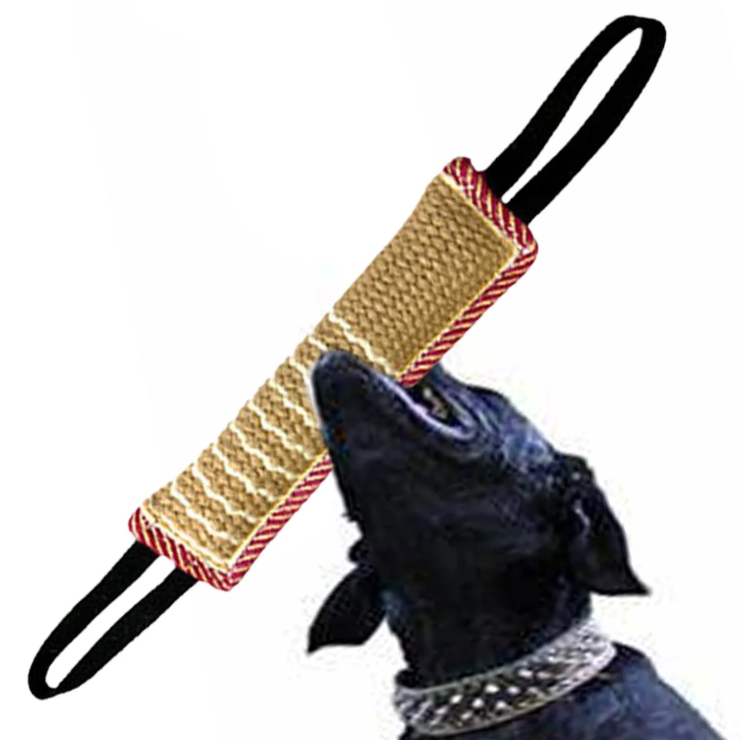 Dog Chew Tug Toy NZ | Interactive Rope Teether for Teeth Cleaning & Training – PawNest