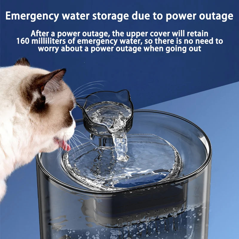 Automatic Cat & Dog Water Fountain NZ | USB Electric Pump with Recirculating Filters – PawNest