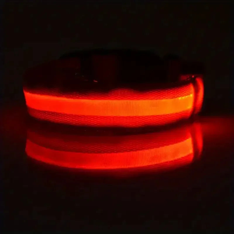Light Up LED Dog Collar – Safety Flashing Glow Battery Collar